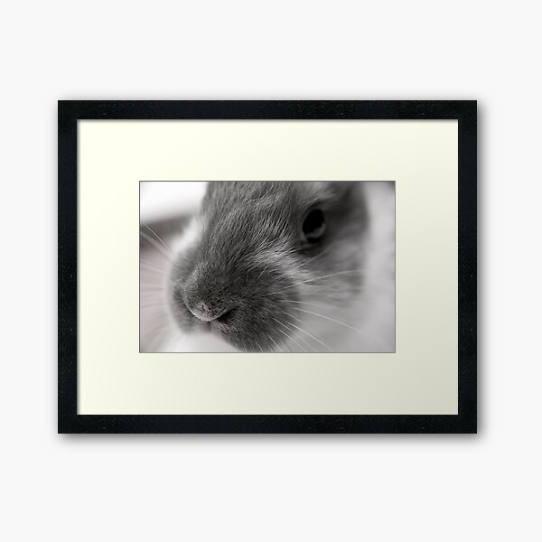 Framed Art Print
