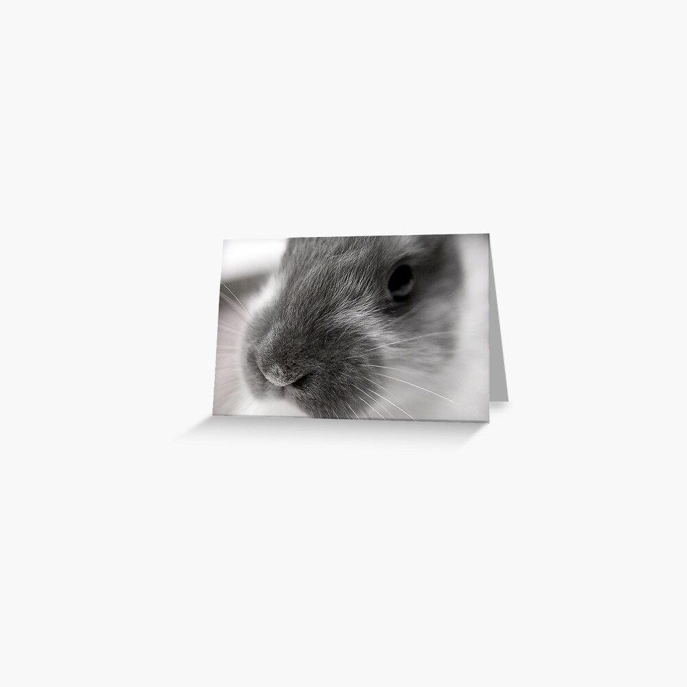 Item preview, Greeting Card designed and sold by DaogreerEarth.