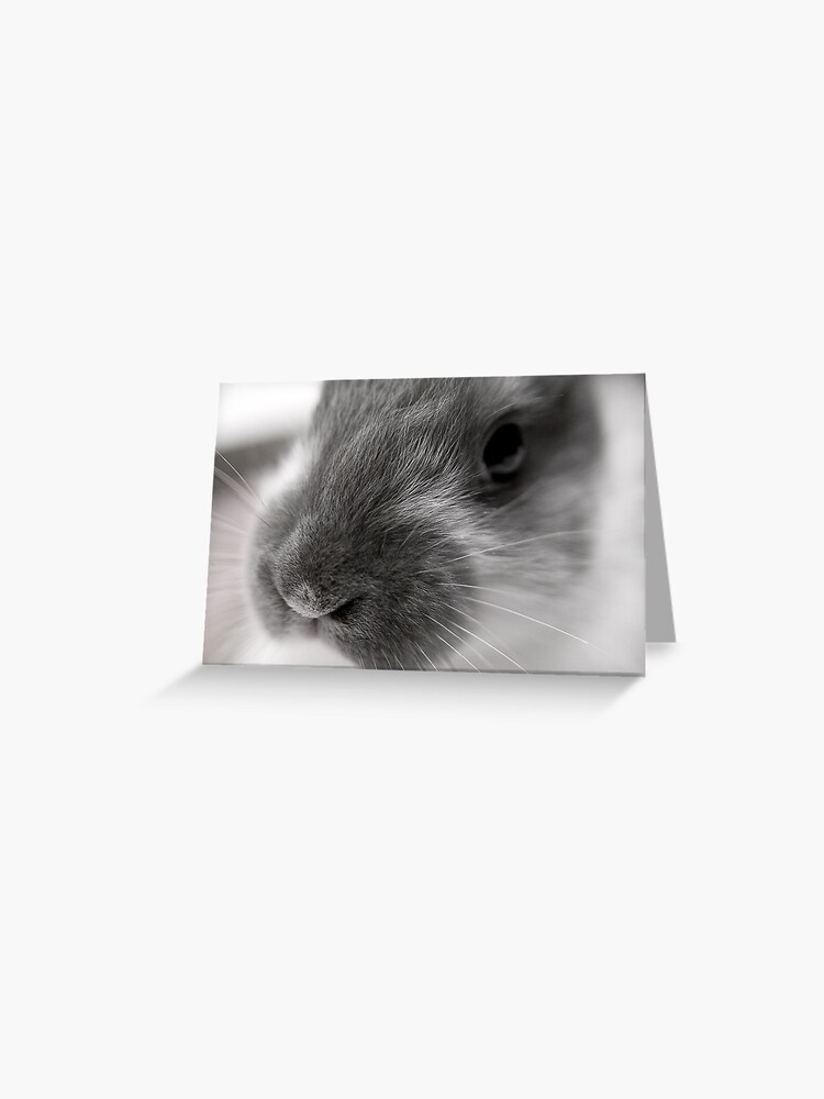Thumbnail 1 of 2, Greeting Card, Fricassee designed and sold by DaogreerEarth.