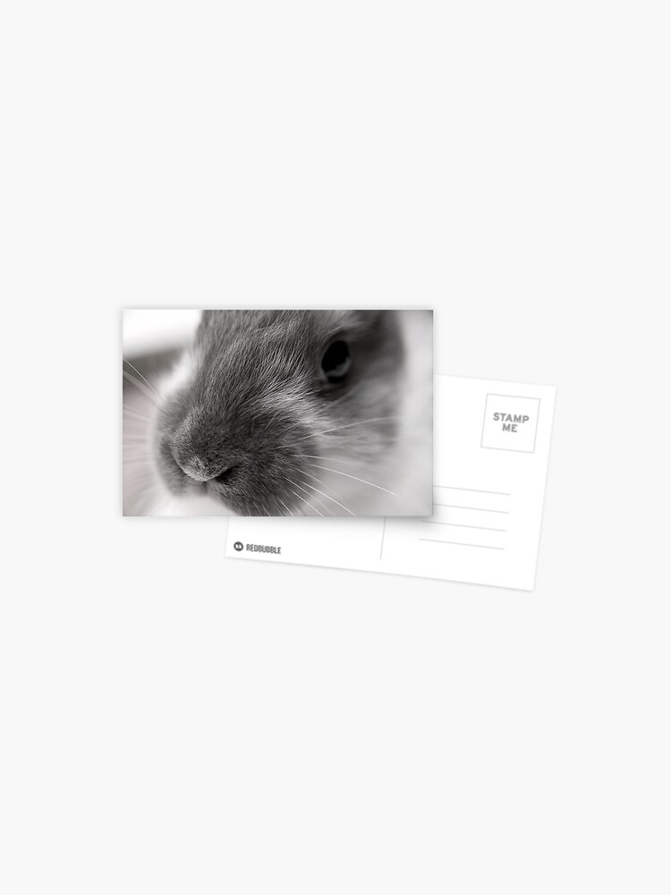 Thumbnail 1 of 2, Postcard, Fricassee designed and sold by DaogreerEarth.