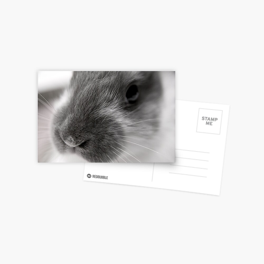 Item preview, Postcard designed and sold by DaogreerEarth.