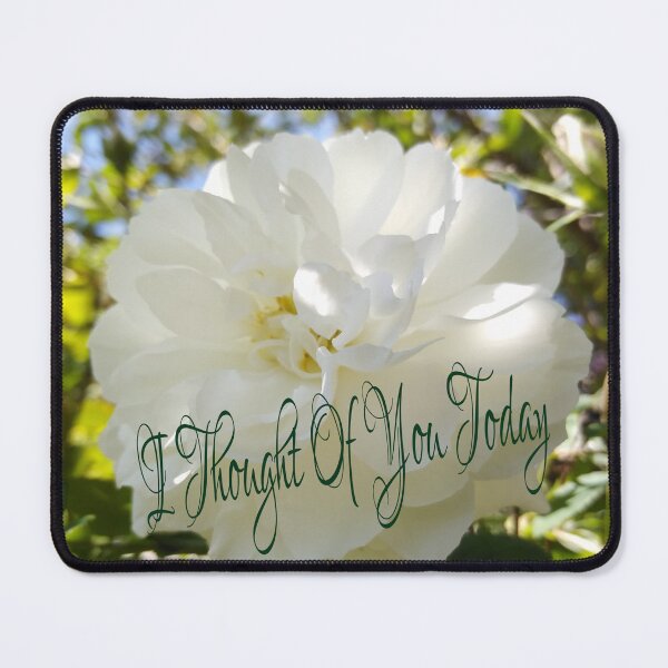 Item preview, White Rose - I Thought Of You Today designed and sold by JacquiRose23.