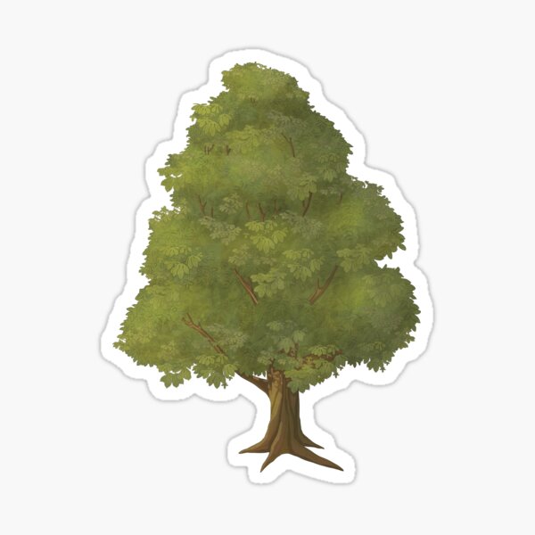 Chestnut tree. Sticker for Sale by AtrixArt