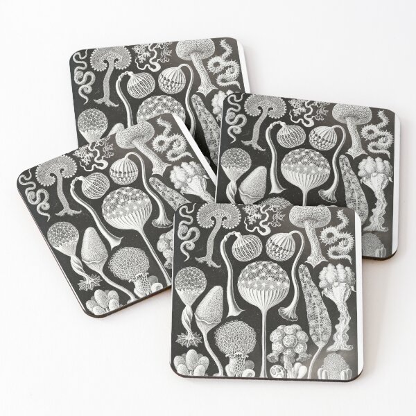 Item preview, The picture Zoology_Vintage_Mycetozoa designed and sold by LynnePham.