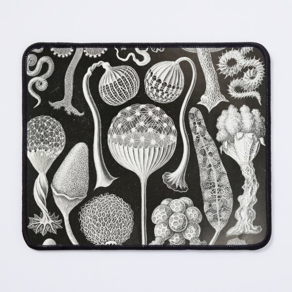 Item preview, The picture Zoology_Vintage_Mycetozoa designed and sold by LynnePham.
