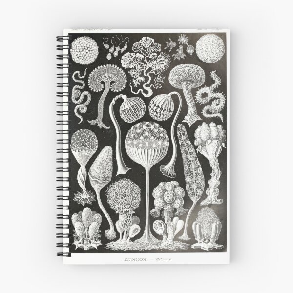 Item preview, The picture Zoology_Vintage_Mycetozoa designed and sold by LynnePham.