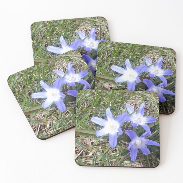 Item preview, Glory-of-the-Snow Flower Trio designed and sold by Kissara.