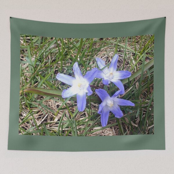 Item preview, Glory-of-the-Snow Flower Trio designed and sold by Kissara.