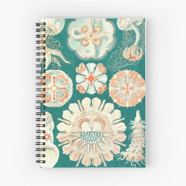 Item preview, Vintage Jellyfish_Zoology Collection designed and sold by LynnePham.