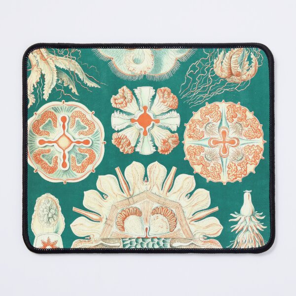 Item preview, Vintage Jellyfish_Zoology Collection designed and sold by LynnePham.