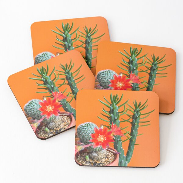 Item preview, Pair of Cacti designed and sold by Charlotte Kerry.