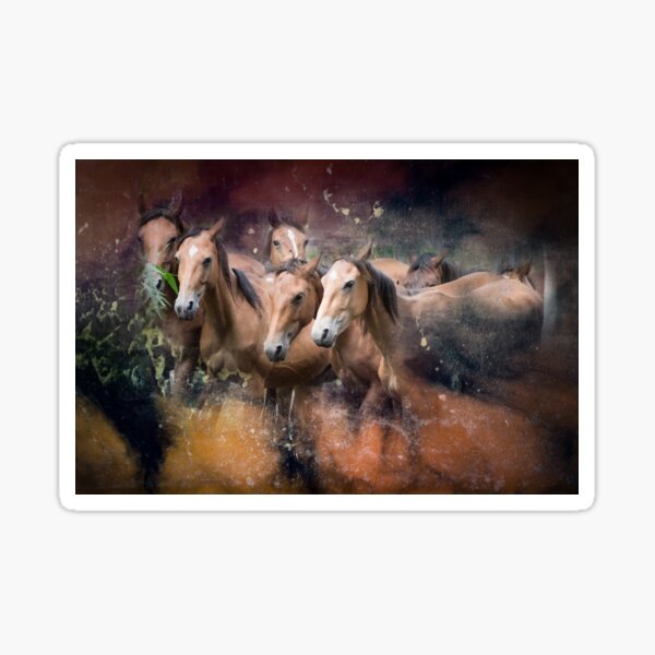 Brumbies Seven Sticker