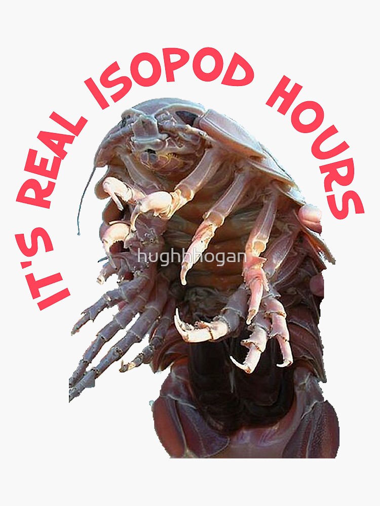 "It's Real Isopod Hours Meme" Sticker for Sale by hughhhogan | Redbubble