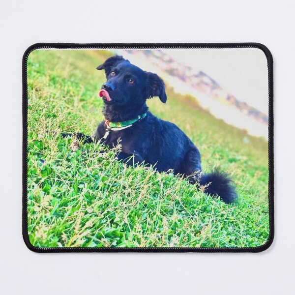 Item preview, Dog animal-lovers loyal friend camaraderie happy playful designed and sold by Ambrose-lilly.