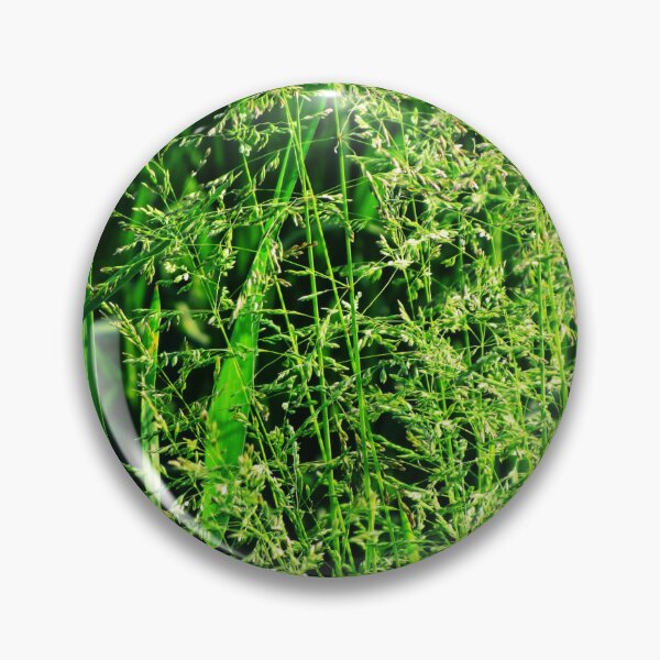 Artikelvorschau, Grünes Gras Naturkernfotografie | grünes Gras Naturecore-Foto entworfen und verkauft von lausn.