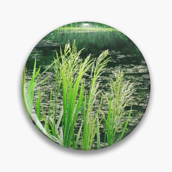 Artikelvorschau, Grünes Gras Fluss Natur Kernfotografie | grünes Gras Naturecore-Foto entworfen und verkauft von lausn.