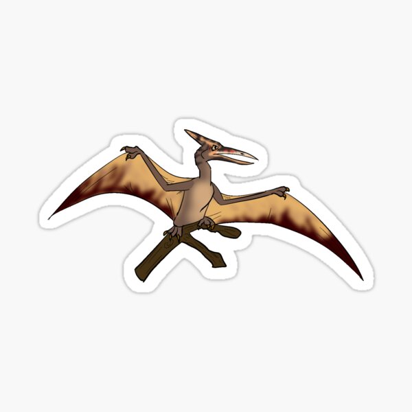 Pterodactyls Pteranodon Petrie Pterosaurs Rhamphorhynchus PNG, Clipart,  Beak, Bird, Cartoon, Dinosaur, Duck Free PNG Download