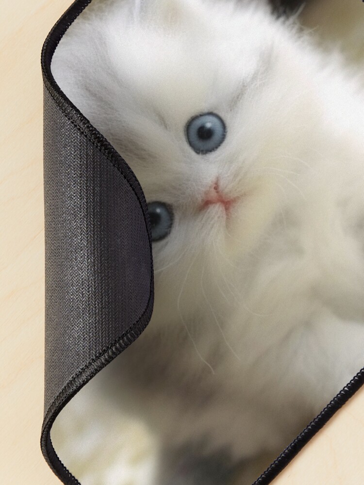 Pofeuu Cute Kittens And Puppy Print Desk Mat For Keyboard And Mouse,Computer Desk Matt For - View #5