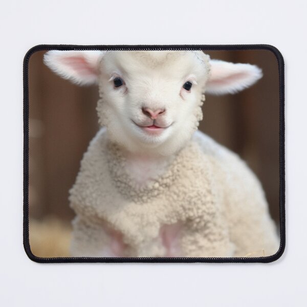 Item preview, Cute Baby Sheep - Cute Baby Animals  designed and sold by baby-animal-art.