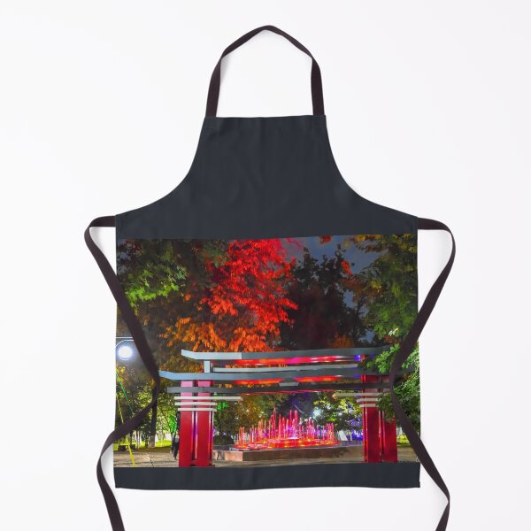 Item preview, Uzbekistan. Samarkand. Fountain and Torii Gate at Night. designed and sold by vadim19.
