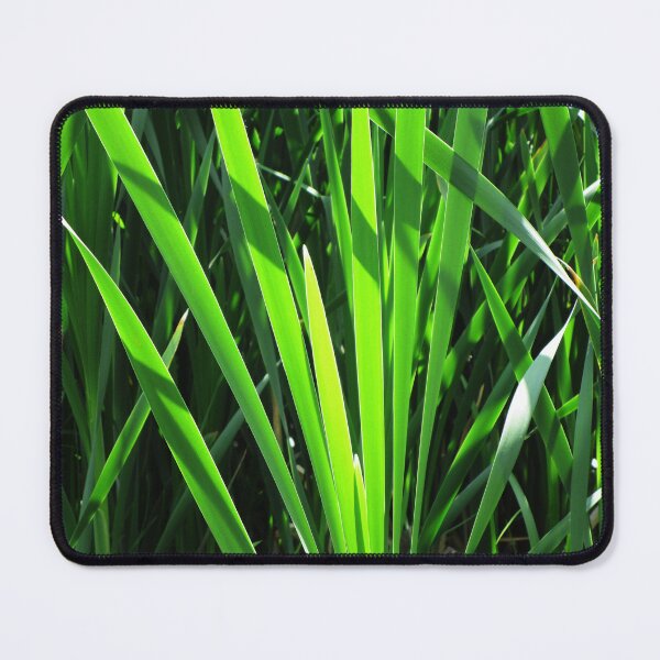 Item preview, Green grass nature core photography | green grass reedmace naturecore photo designed and sold by lausn.
