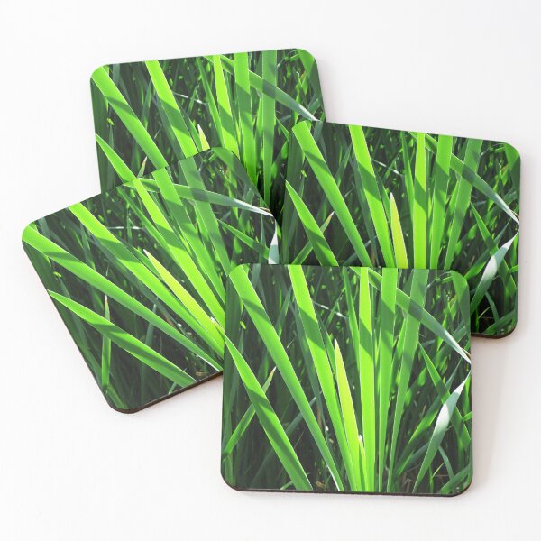 Item preview, Green grass nature core photography | green grass reedmace naturecore photo designed and sold by lausn.