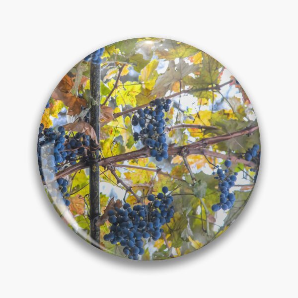 Item preview, Uzbekistan. Samarkand. Wine Grapes. designed and sold by vadim19.