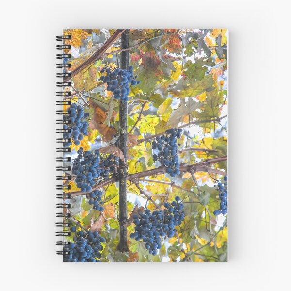 Item preview, Uzbekistan. Samarkand. Wine Grapes. designed and sold by vadim19.