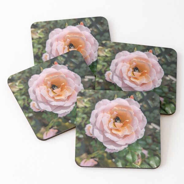 Item preview, English Rose with a little bumble bee designed and sold by ThistlesCards.