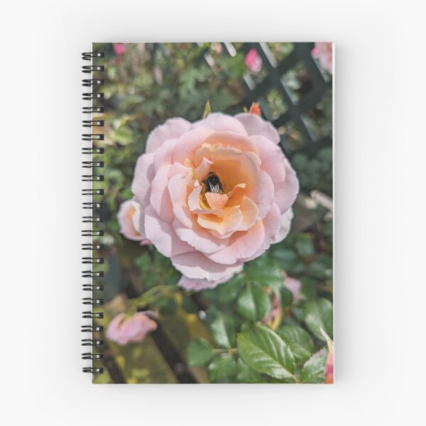 Item preview, English Rose with a little bumble bee designed and sold by ThistlesCards.