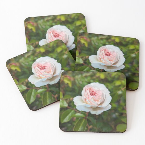 Item preview, Pretty in pink designed and sold by ThistlesCards.