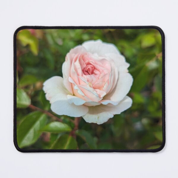 Item preview, Pretty in pink designed and sold by ThistlesCards.