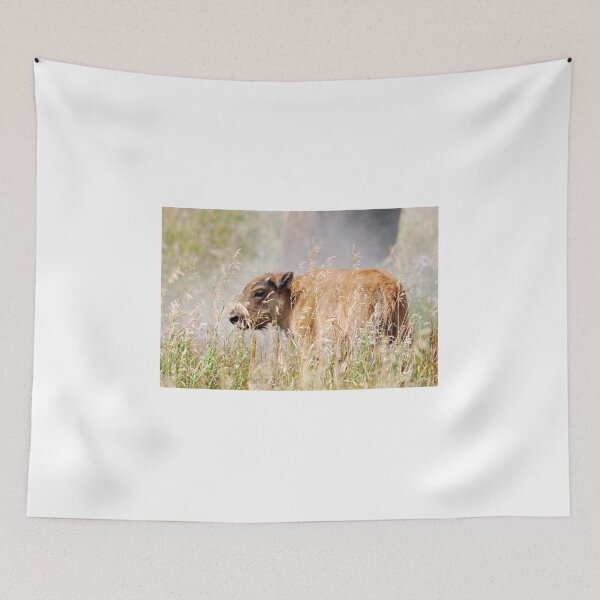 Item preview, Bison Calf designed and sold by Jennifer Suttle.