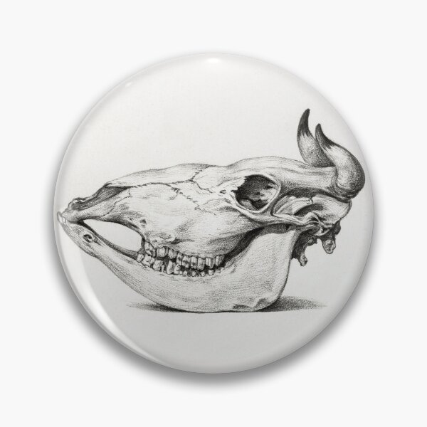 Item preview, Skull of a cow by Dutch painter Jean Bernard. designed and sold by paulo silveira.