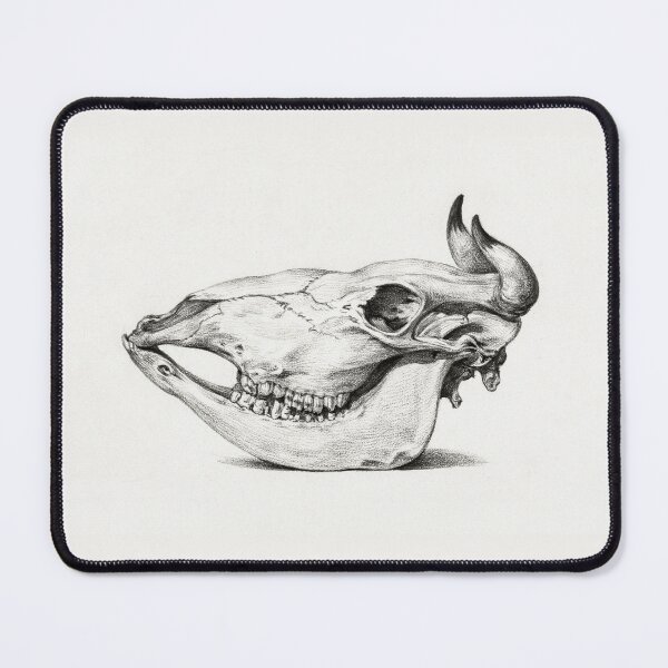 Item preview, Skull of a cow by Dutch painter Jean Bernard. designed and sold by paulo silveira.