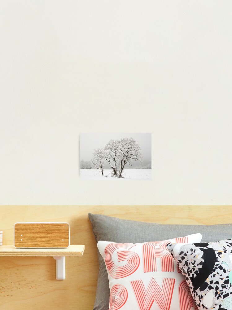 Thumbnail 1 of 3, Photographic Print, Trees, snow and mist designed and sold by Patrick Morand.