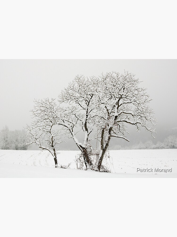 Thumbnail 3 of 3, Photographic Print, Trees, snow and mist designed and sold by Patrick Morand.