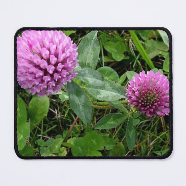 Item preview, Red Clover Poof designed and sold by Kissara.
