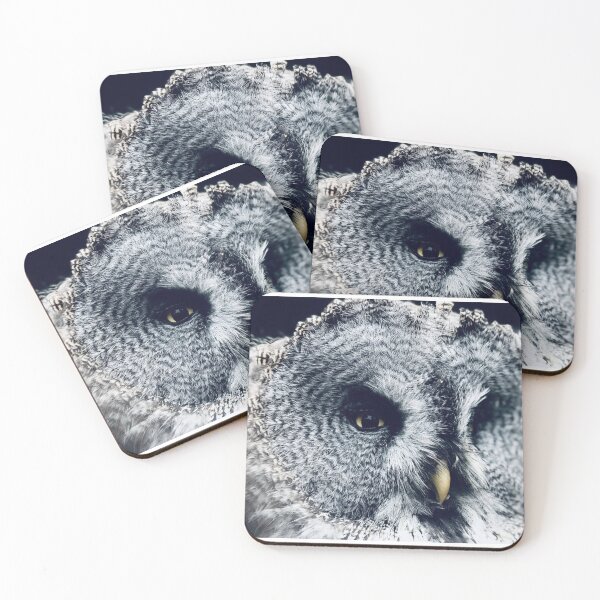 Item preview, art nature animal bird beauty creature beauty predator  designed and sold by Ambrose-lilly.