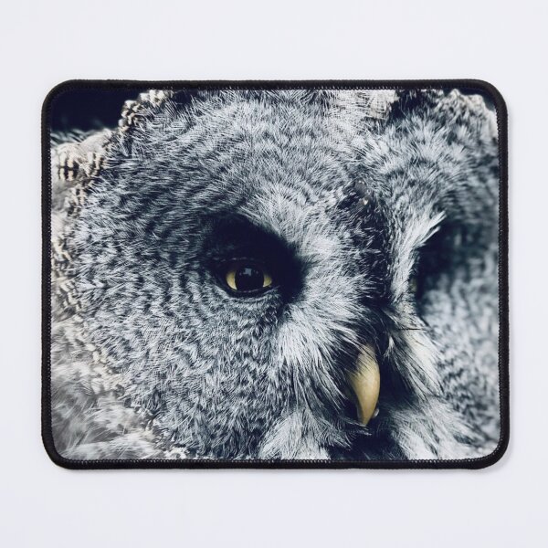 Item preview, art nature animal bird beauty creature beauty predator designed and sold by Ambrose-lilly.