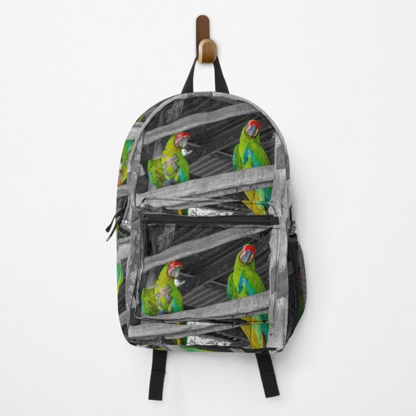 Item preview, Green Macaw Parrots in a Barn designed and sold by SafariByMarisa.