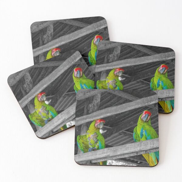 Item preview, Green Macaw Parrots in a Barn designed and sold by SafariByMarisa.