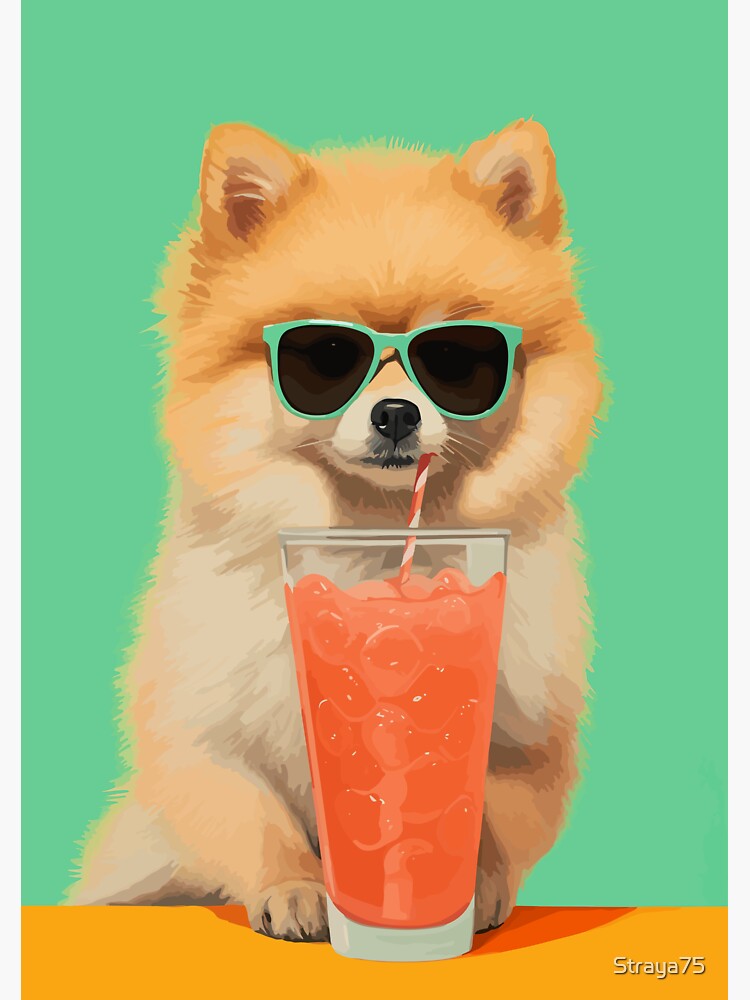 Pomeranian with outlet sunglasses