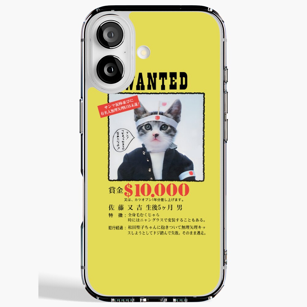 icr,iphone_17_soft,back,a,