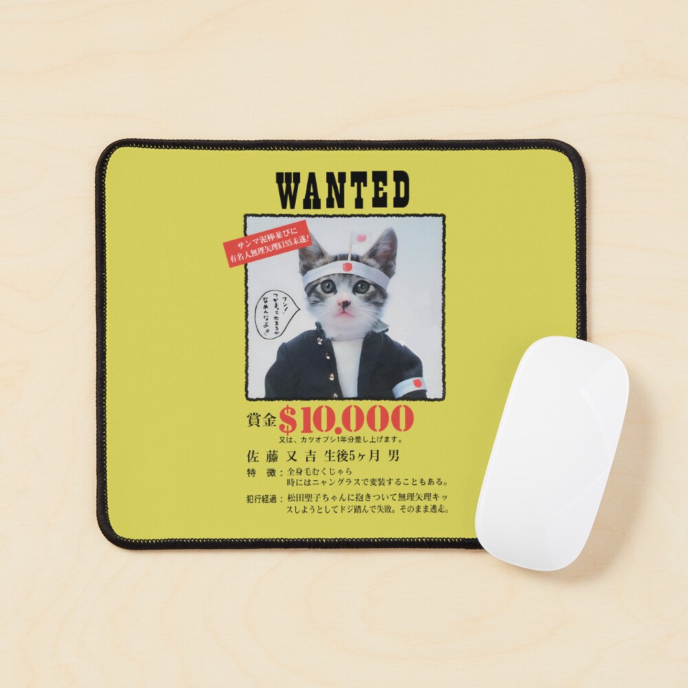 Nameneko Bosozoku Wanted / なめ猫 暴走族 指名手配