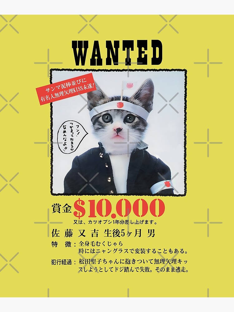 Nameneko Bosozoku Wanted / なめ猫 暴走族 指名手配