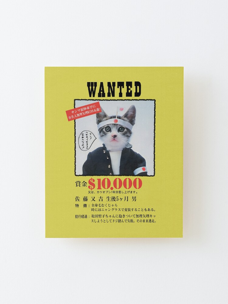 Nameneko Bosozoku Wanted / なめ猫 暴走族 指名手配