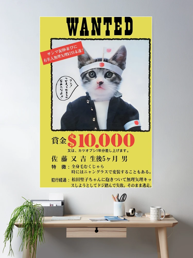 Nameneko Bosozoku Wanted / なめ猫 暴走族 指名手配
