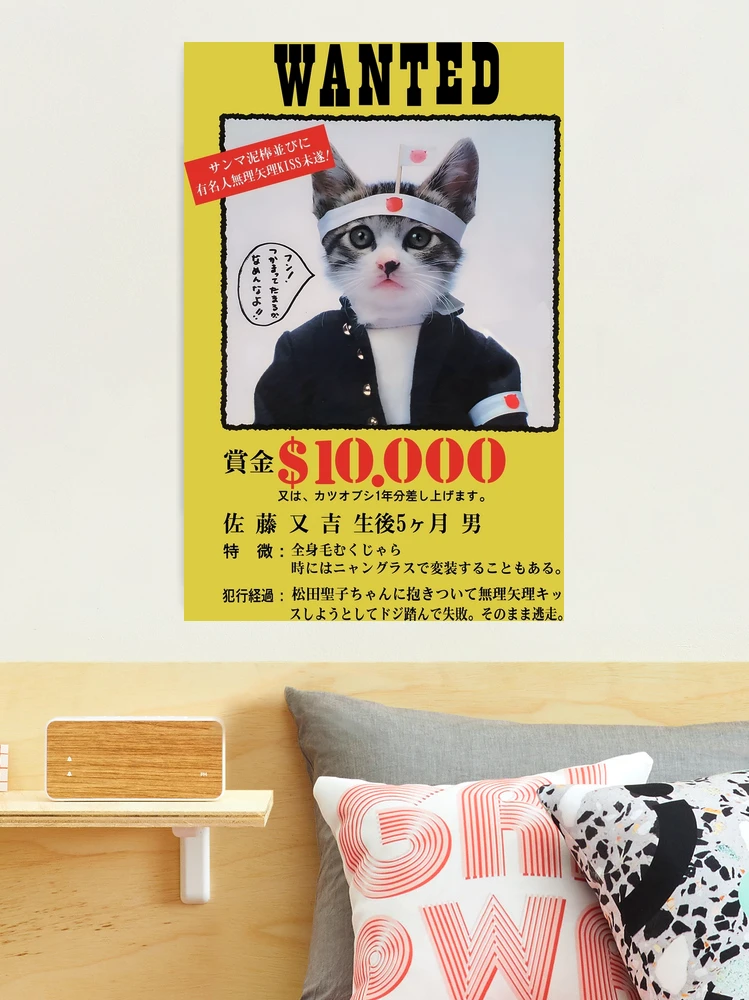 Nameneko Bosozoku Wanted / なめ猫 暴走族 指名手配