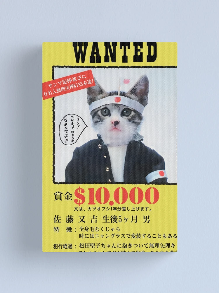 nekoページ Neko 🐈‍⬛ (@Nek0roe) / Posts / X